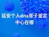 延安个人dna亲子鉴定中心在哪