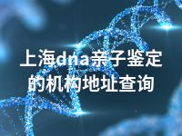 上海dna亲子鉴定的机构地址查询