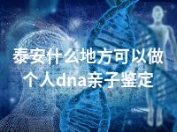 泰安什么地方可以做个人dna亲子鉴定