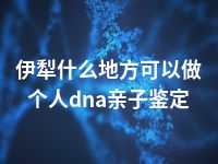 伊犁什么地方可以做个人dna亲子鉴定