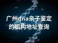 广州dna亲子鉴定的机构地址查询