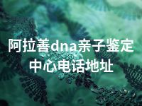 阿拉善dna亲子鉴定中心电话地址