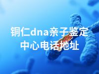 铜仁dna亲子鉴定中心电话地址