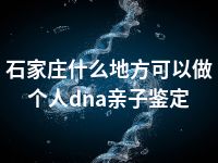 石家庄什么地方可以做个人dna亲子鉴定