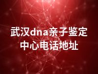 武汉dna亲子鉴定中心电话地址