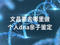 文昌要去哪里做个人dna亲子鉴定