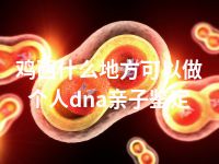 鸡西什么地方可以做个人dna亲子鉴定