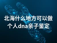 北海什么地方可以做个人dna亲子鉴定