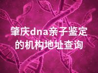 肇庆dna亲子鉴定的机构地址查询