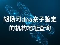 胡杨河dna亲子鉴定的机构地址查询