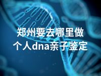 郑州要去哪里做个人dna亲子鉴定