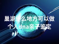 巢湖什么地方可以做个人dna亲子鉴定