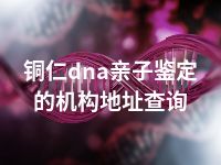 铜仁dna亲子鉴定的机构地址查询