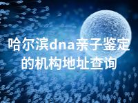 哈尔滨dna亲子鉴定的机构地址查询