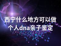 西宁什么地方可以做个人dna亲子鉴定