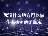 武汉什么地方可以做个人dna亲子鉴定