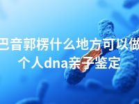 巴音郭楞什么地方可以做个人dna亲子鉴定