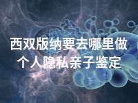 西双版纳要去哪里做个人隐私亲子鉴定