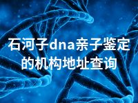 石河子dna亲子鉴定的机构地址查询