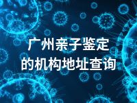 广州亲子鉴定的机构地址查询