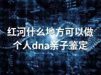 红河什么地方可以做个人dna亲子鉴定