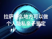 拉萨什么地方可以做个人隐私亲子鉴定