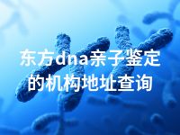 东方dna亲子鉴定的机构地址查询