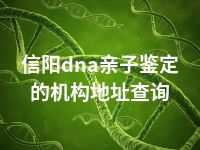 信阳dna亲子鉴定的机构地址查询