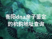 衡阳dna亲子鉴定的机构地址查询