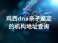 鸡西dna亲子鉴定的机构地址查询