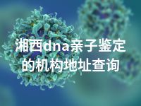 湘西dna亲子鉴定的机构地址查询