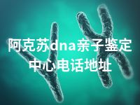 阿克苏dna亲子鉴定中心电话地址