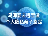 乌海要去哪里做个人隐私亲子鉴定