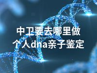 中卫要去哪里做个人dna亲子鉴定