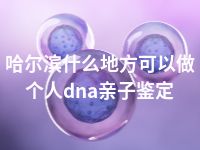 哈尔滨什么地方可以做个人dna亲子鉴定