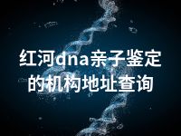 红河dna亲子鉴定的机构地址查询