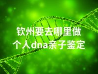 钦州要去哪里做个人dna亲子鉴定