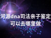 河源dna司法亲子鉴定可以去哪里做