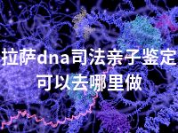 拉萨dna司法亲子鉴定可以去哪里做