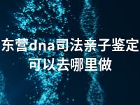 东营dna司法亲子鉴定可以去哪里做