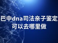 巴中dna司法亲子鉴定可以去哪里做