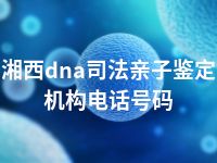 湘西dna司法亲子鉴定机构电话号码