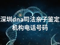 深圳dna司法亲子鉴定机构电话号码