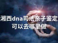 湘西dna司法亲子鉴定可以去哪里做