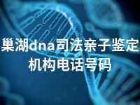 巢湖dna司法亲子鉴定机构电话号码