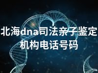 北海dna司法亲子鉴定机构电话号码