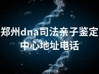 郑州dna司法亲子鉴定中心地址电话