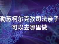 克孜勒苏柯尔克孜司法亲子鉴定可以去哪里做