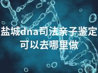 盐城dna司法亲子鉴定可以去哪里做