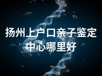 扬州上户口亲子鉴定中心哪里好